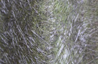 Kirktown Of Deskford fibreglass roof work